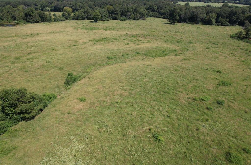 Tbd-b Cr 4037 Timpson Tx 75975 Timpson, TX 75975 - Photo 6 of 20 a view of a field with an ocean
