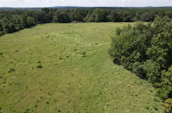 a view of a field with a tree