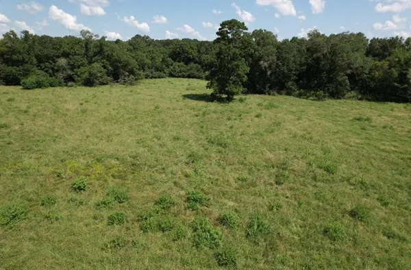 a view of a field with an ocean