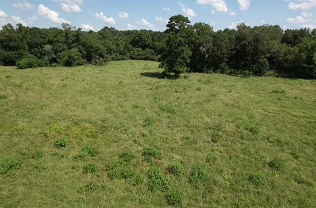 a view of a field with an ocean
