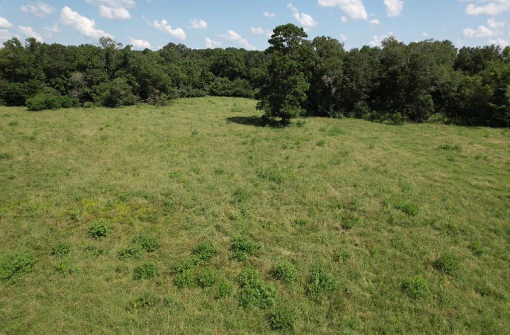 Tbd-b Cr 4037 Timpson Tx 75975 Timpson, TX 75975 - Photo 9 of 20 a view of a field with a tree
