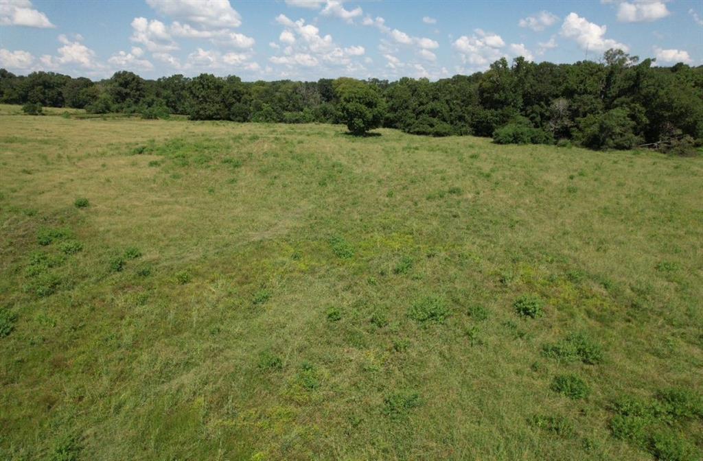 Tbd-b Cr 4037 Timpson Tx 75975 Timpson, TX 75975 - Photo 10 of 20 a view of an outdoor space and a yard