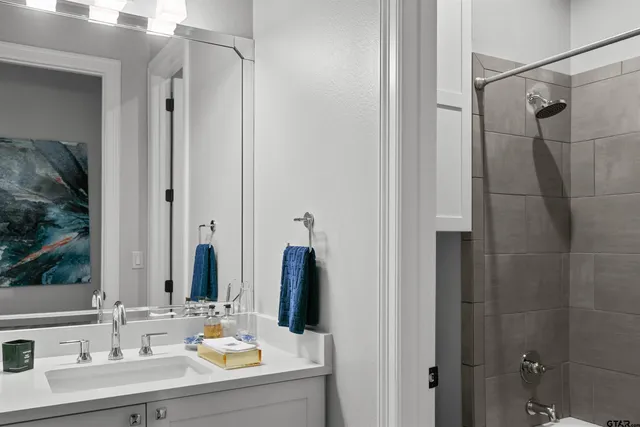 a bathroom with a sink vanity and a mirror