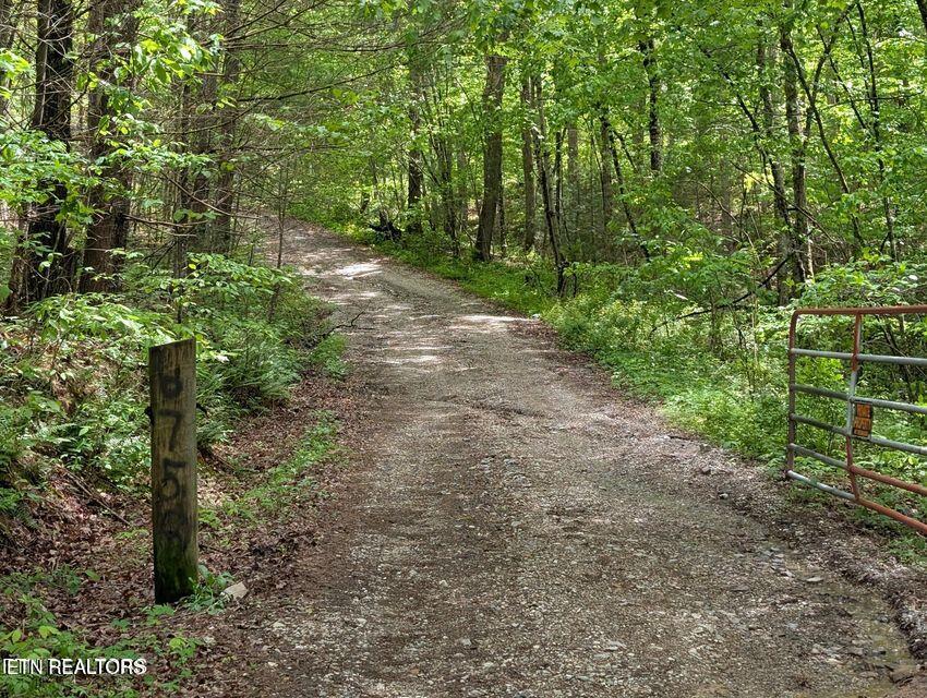 158 Jess Rdg Road Lancing, TN 37770 - Photo 2 of 8 20250506215509484400000000-o