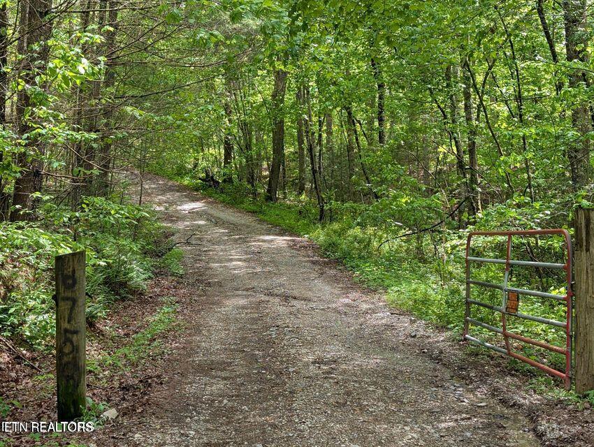 158 Jess Rdg Road Lancing, TN 37770 - Photo 3 of 8 20250506215514839353000000-o