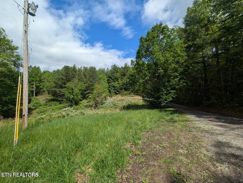 158 Jess Rdg Road Lancing, TN 37770 - Photo 4 of 8 20250506215519360533000000-o