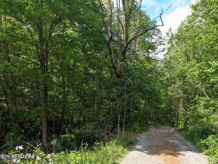 158 Jess Rdg Road Lancing, TN 37770 - Photo 5 of 8 20250506215523842319000000-o