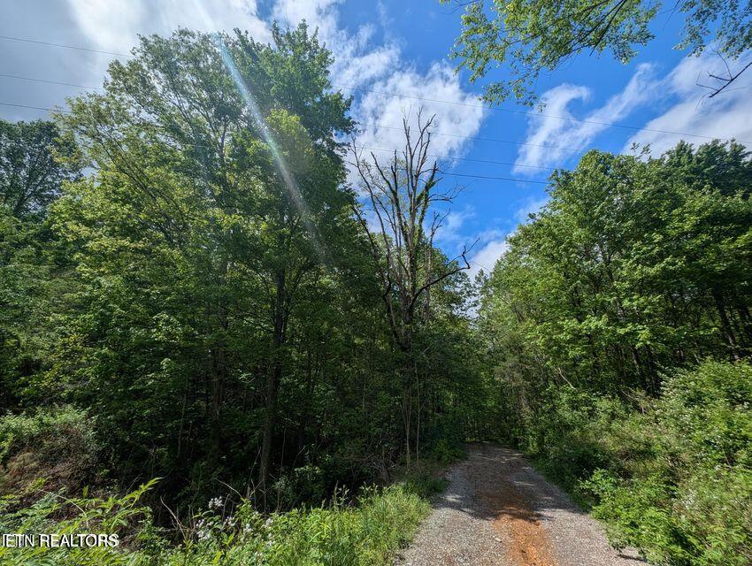 158 Jess Rdg Road Lancing, TN 37770 - Photo 6 of 8 20250506215528543622000000-o