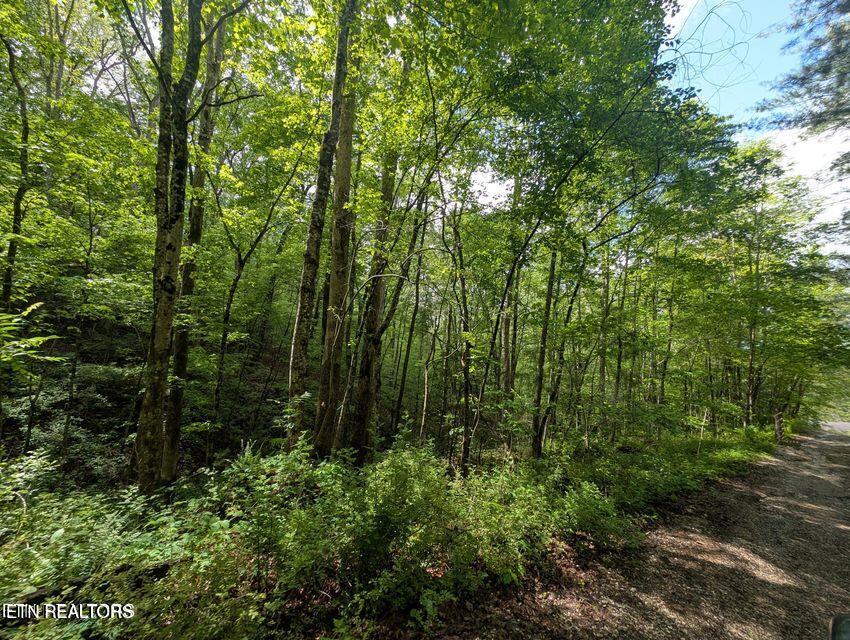 158 Jess Rdg Road Lancing, TN 37770 - Photo 8 of 8 20250506215537901683000000-o