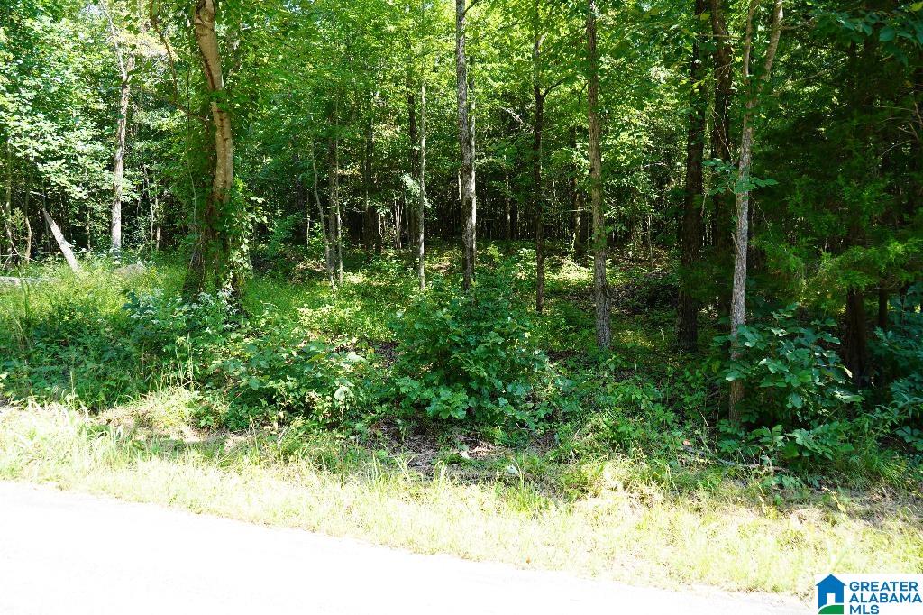 0 Tawbush Road, Unit 16 Trafford, AL 35172 - Photo 7 of 11