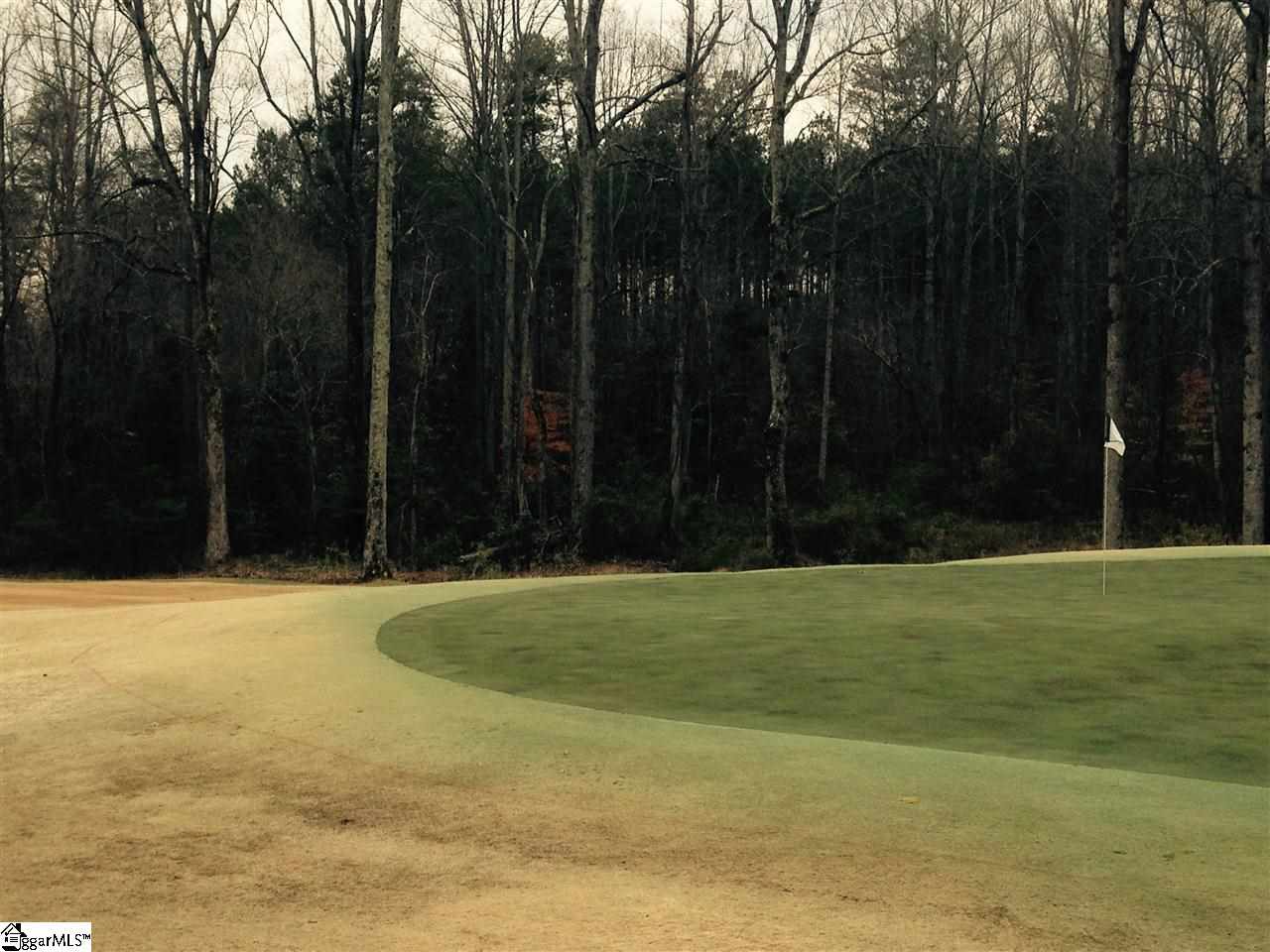 0 Roe Ford Road Greenville, SC 29617 - Photo 4 of 5 Gallery Image 4
