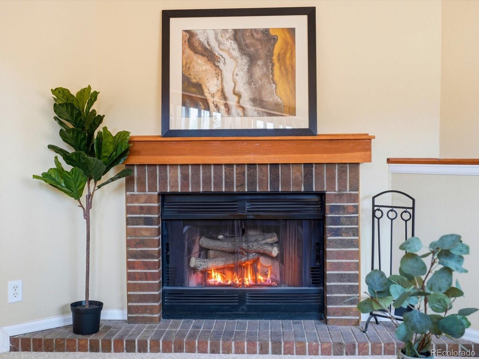 765 Stowe Street Highlands Ranch, CO 80126 - Photo 17 of 43 a view of fireplace with potted plants