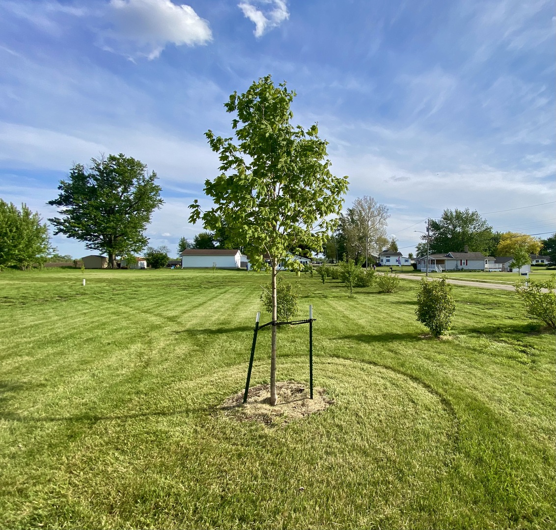 301 South Maple Street Wyanet, IL 61379 - Photo 2 of 18
