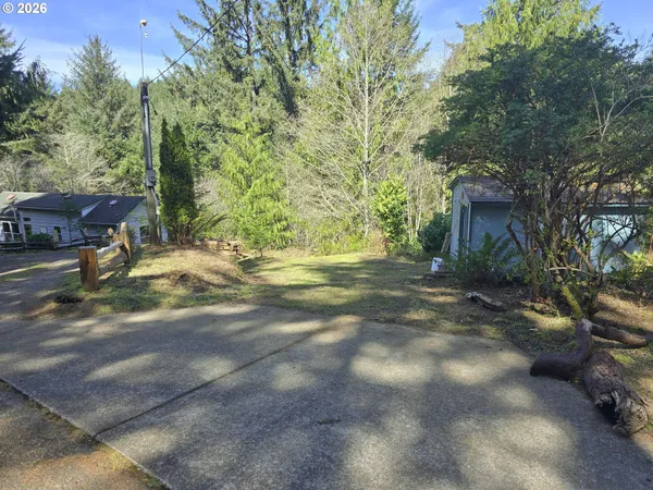 a view of a yard with plants and trees