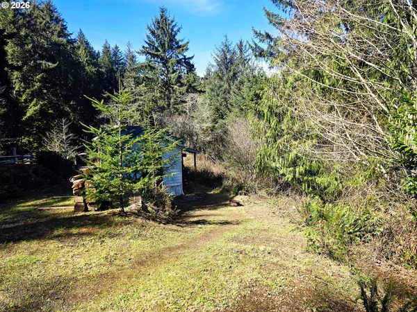 a view of a backyard with plants and trees