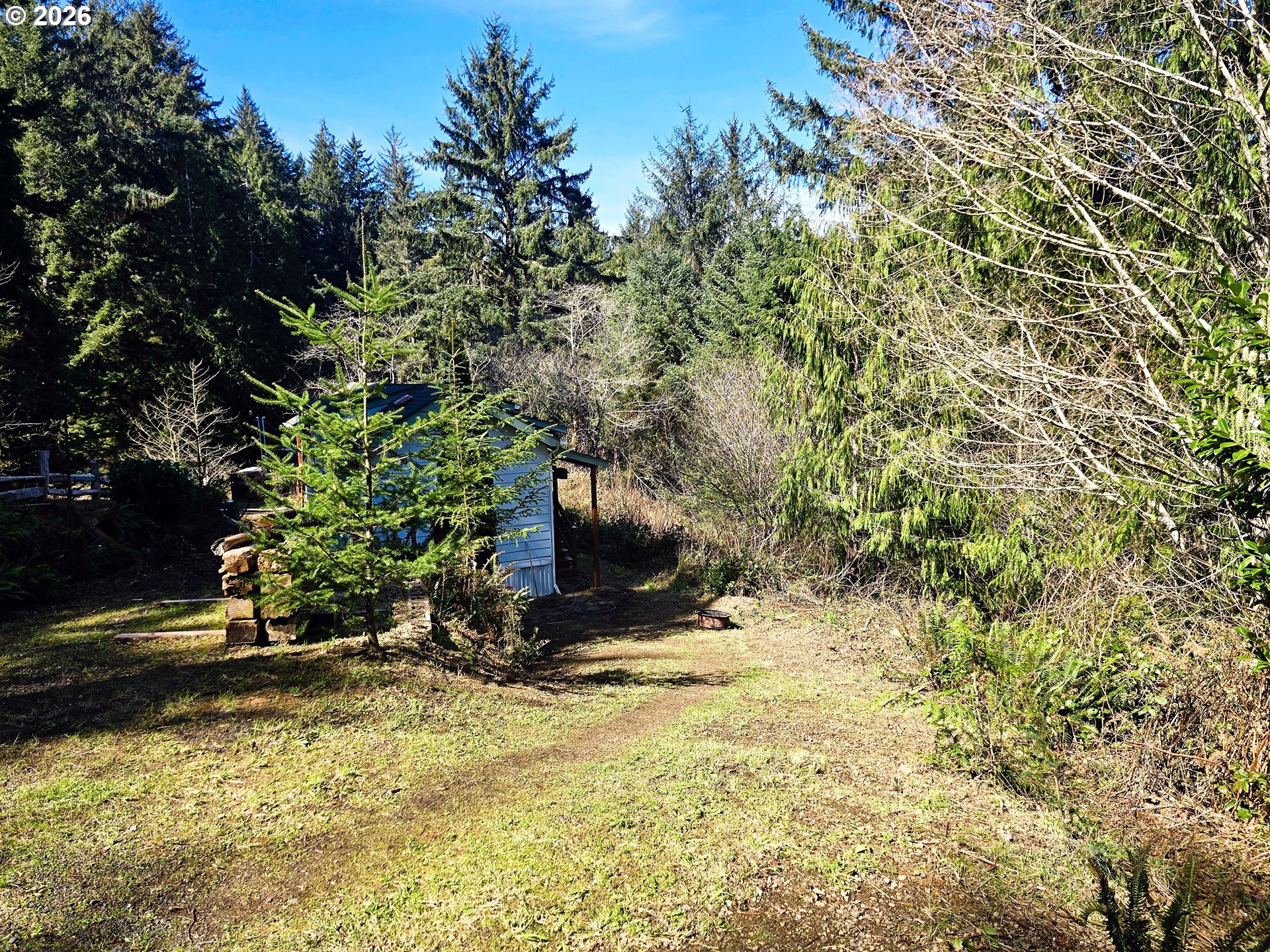 89491 Sutton Place Florence, OR 97439 - Photo 19 of 21 a view of a backyard with plants and trees