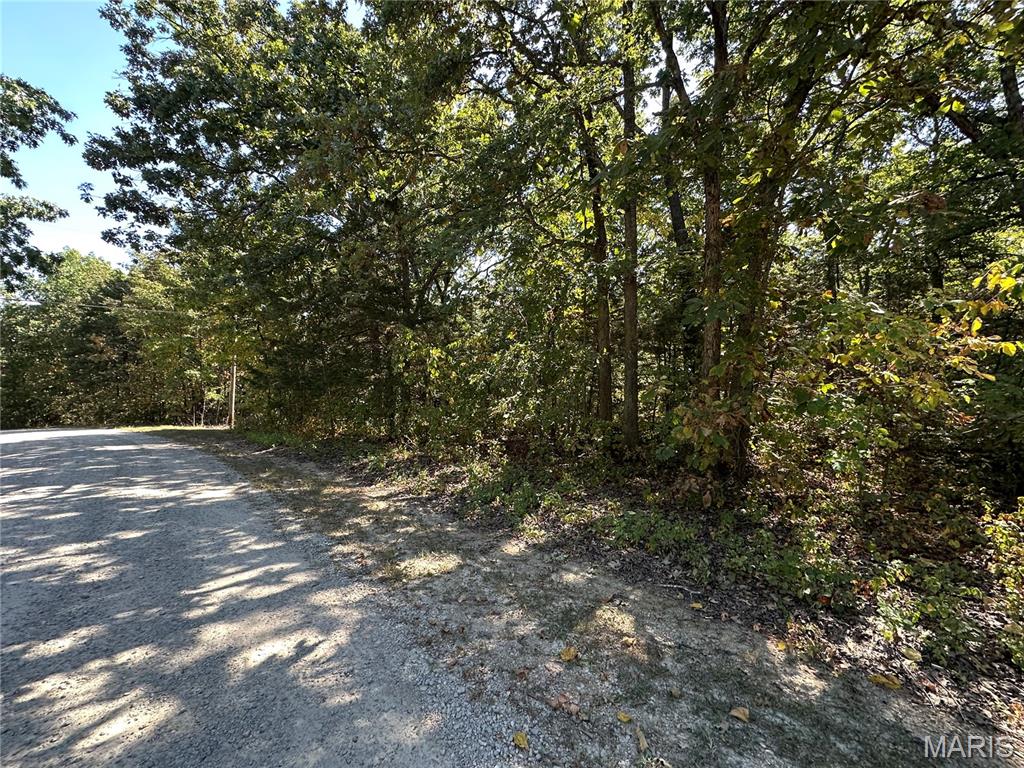 0 North St Francois Road Bonne Terre, MO 63628 - Photo 3 of 4