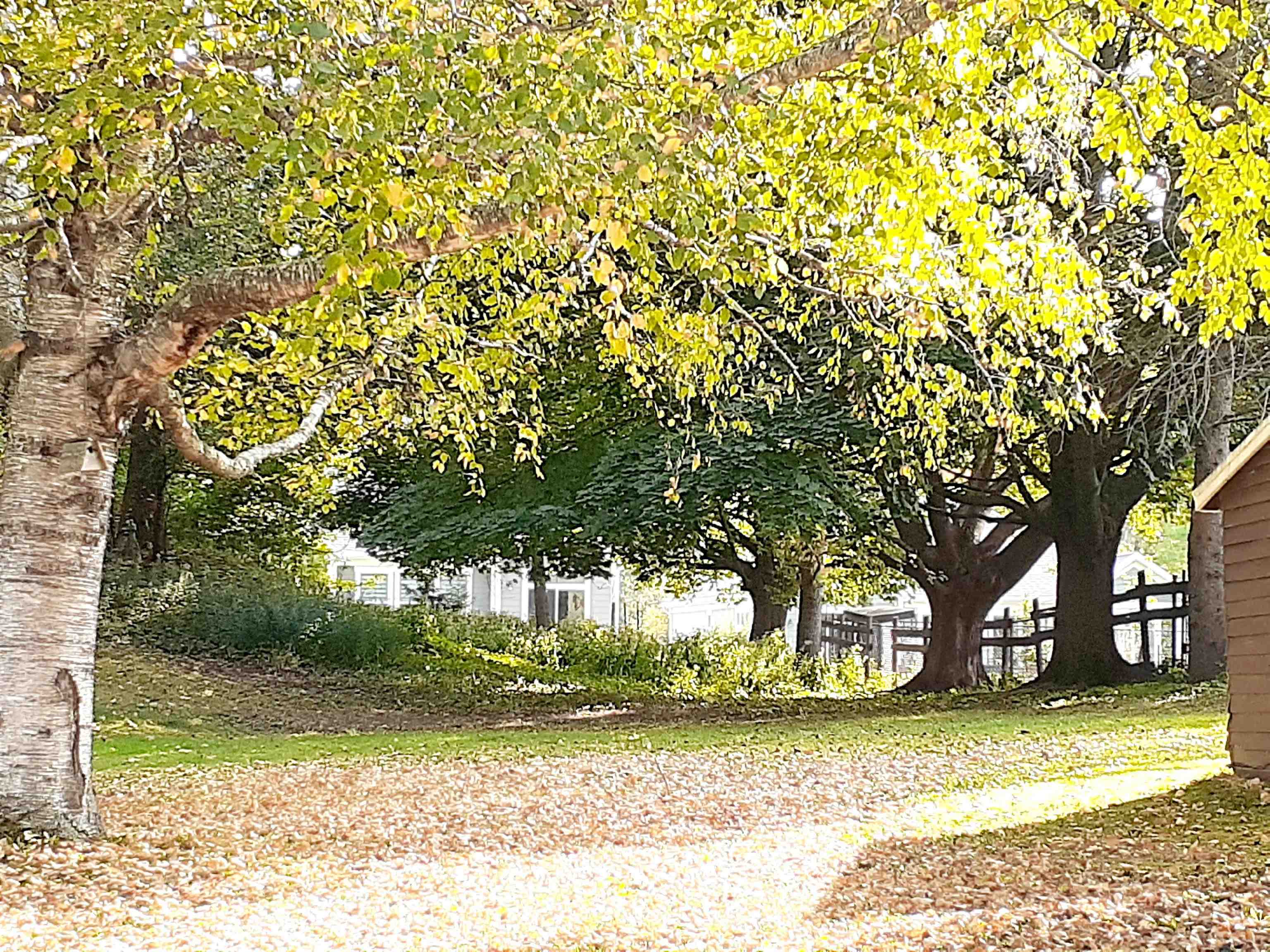 5730 North Ballard Road Appleton, WI 54913 - Photo 39 of 47