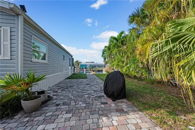 a view of a backyard with plants and trees