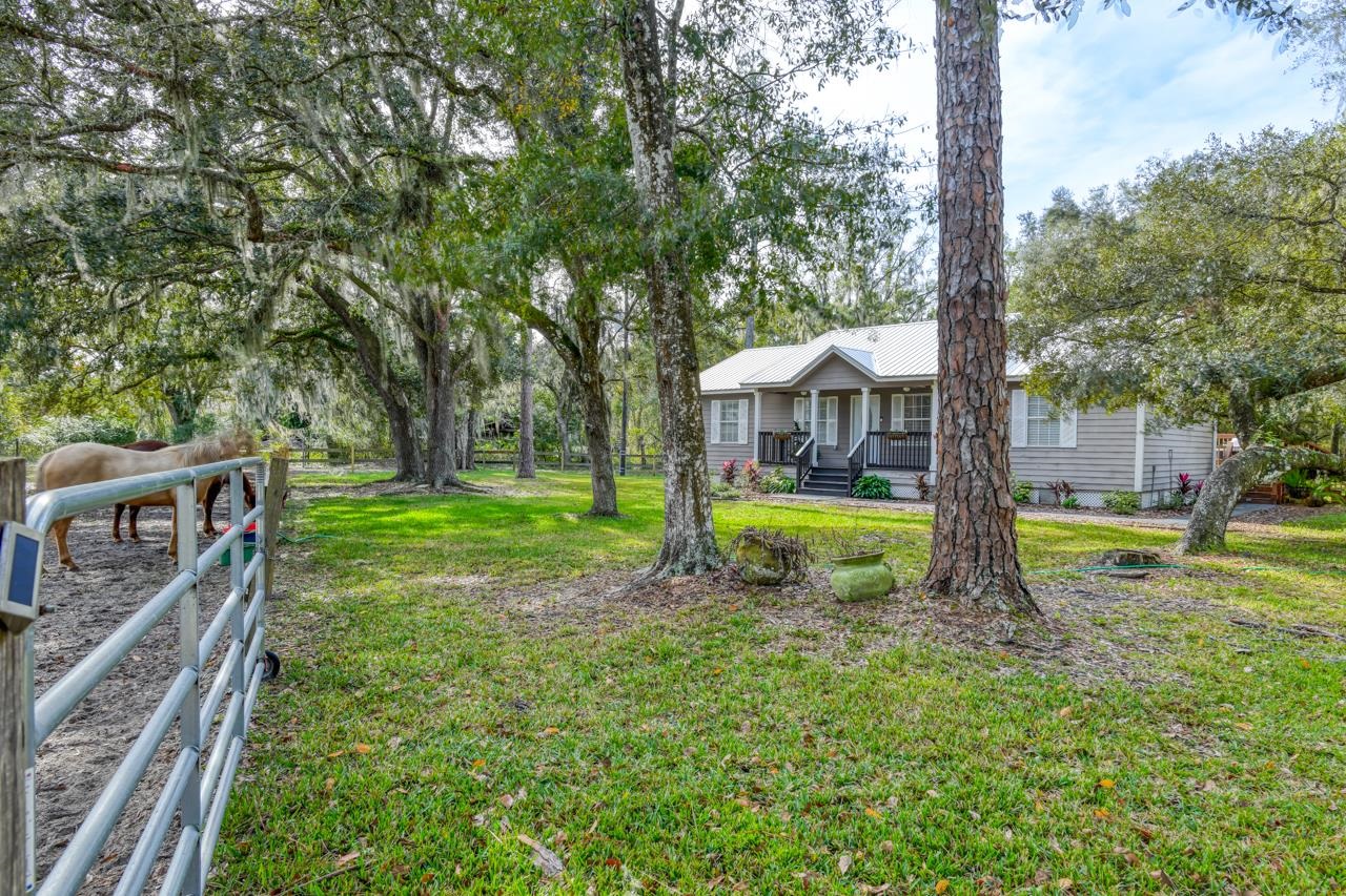 3335 Pacetti Road St. Augustine, FL 32092 - Photo 3 of 39 a view of a house with backyard and a tree