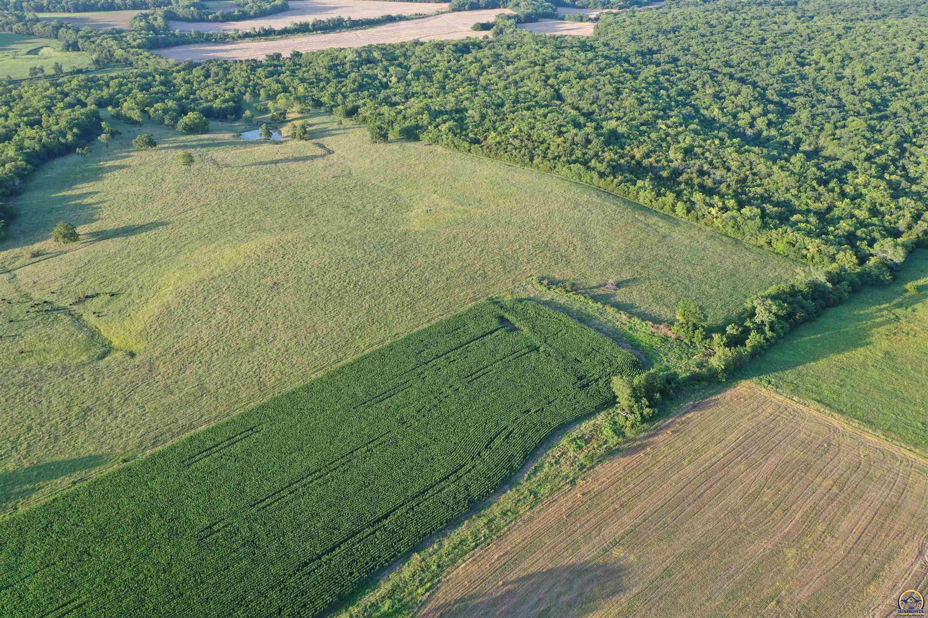 0 South Shawnee Heights Road Quenemo, KS 66528 - Photo 20 of 47 Gallery Image 20