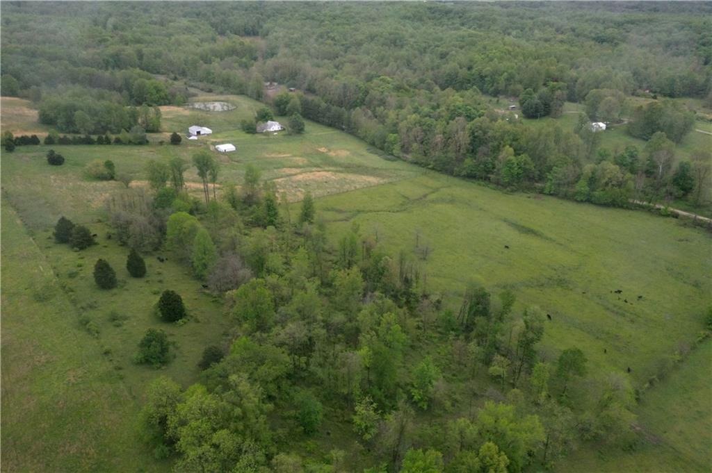 2351 East Kelly Branch Road Bloomfield, IN 47424 - Photo 34 of 46