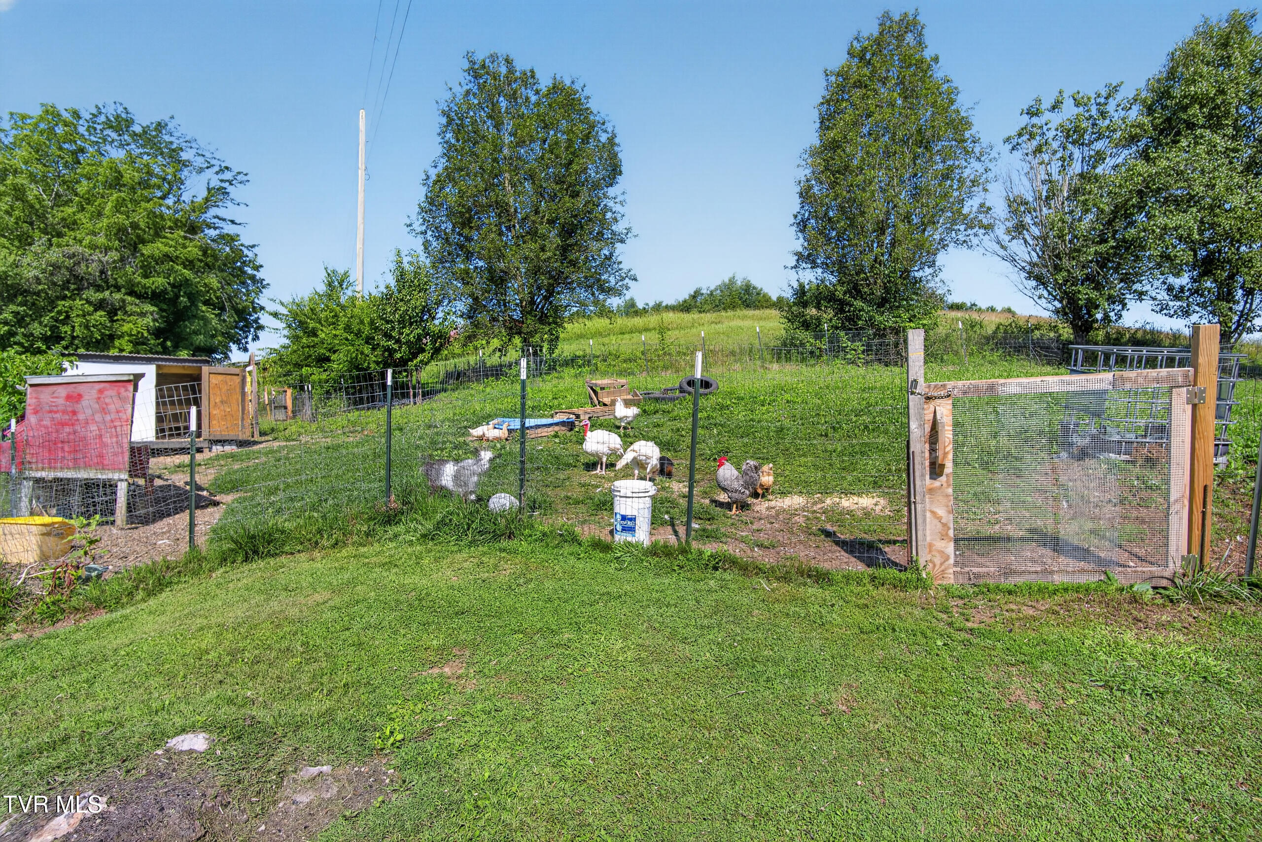 6196 Poplar Springs Road Greeneville, TN 37743 - Photo 53 of 59 DSC00711