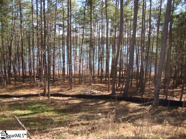 78 Peninsula Road Anderson, SC 29626 - Photo 15 of 36 Gallery Image 15