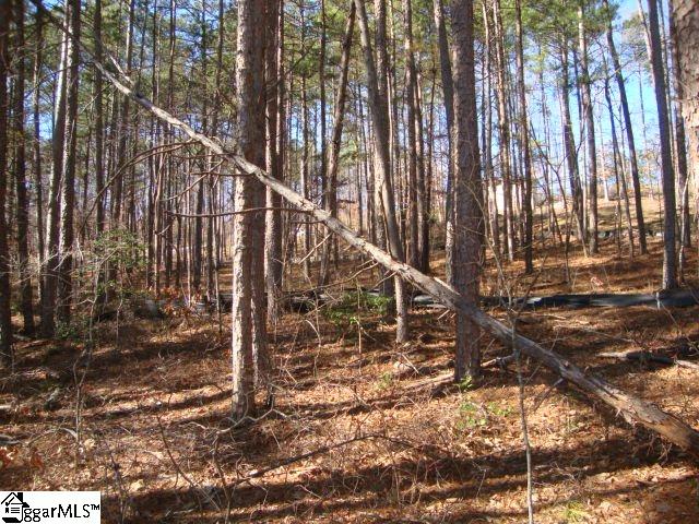 78 Peninsula Road Anderson, SC 29626 - Photo 18 of 36 Gallery Image 18