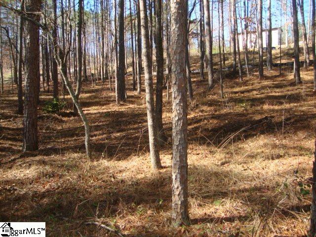 78 Peninsula Road Anderson, SC 29626 - Photo 19 of 36 Gallery Image 19