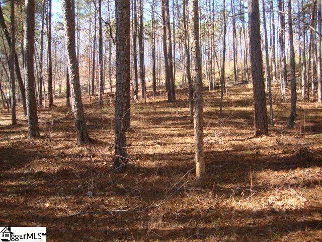 78 Peninsula Road Anderson, SC 29626 - Photo 20 of 36 Gallery Image 20