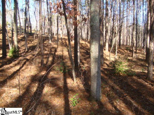 78 Peninsula Road Anderson, SC 29626 - Photo 21 of 36 Gallery Image 21