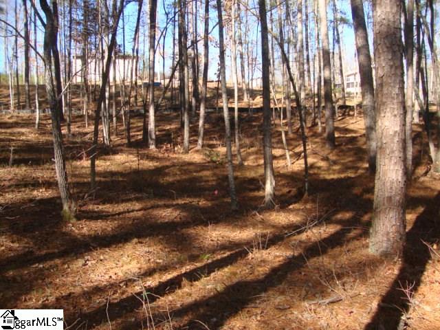 78 Peninsula Road Anderson, SC 29626 - Photo 22 of 36 Gallery Image 22
