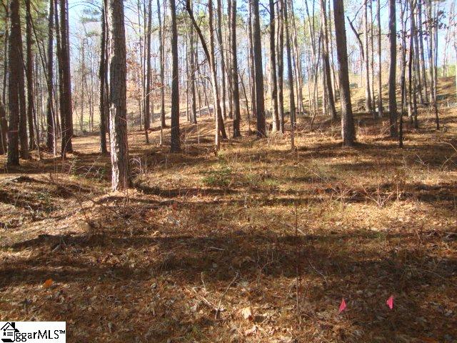 78 Peninsula Road Anderson, SC 29626 - Photo 23 of 36 Gallery Image 23