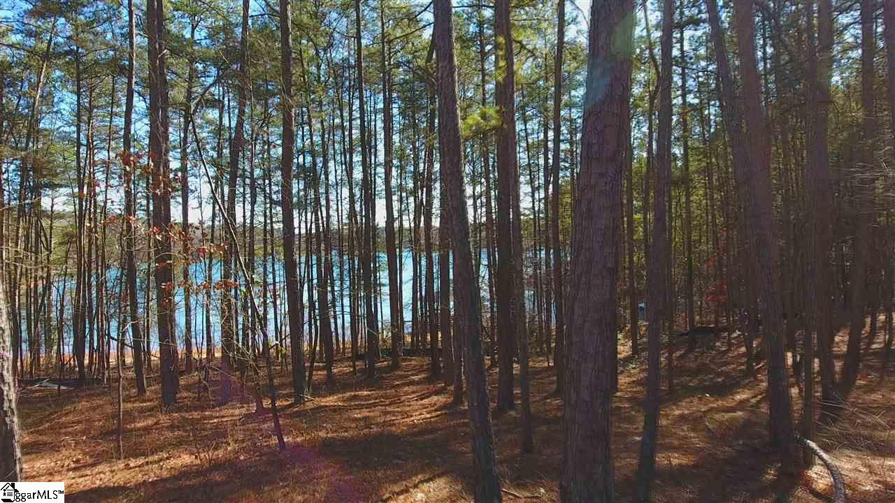 78 Peninsula Road Anderson, SC 29626 - Photo 7 of 36 Gallery Image 7