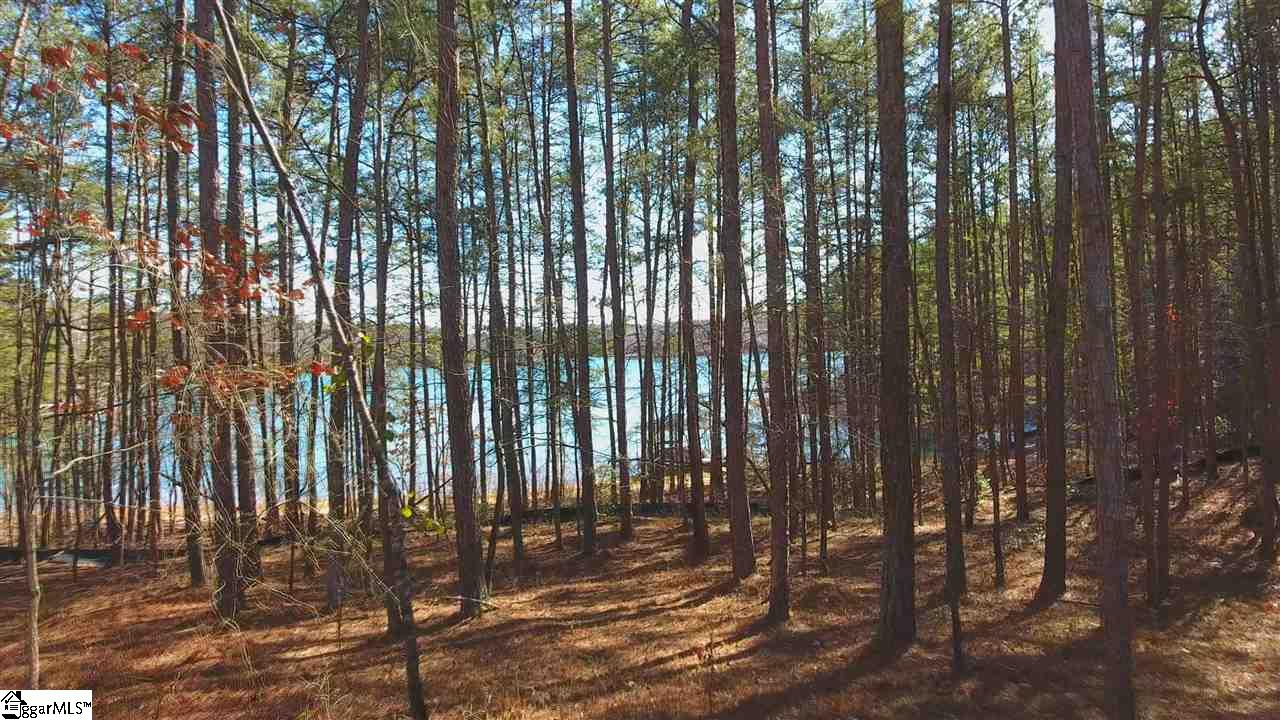 78 Peninsula Road Anderson, SC 29626 - Photo 8 of 36 Gallery Image 8
