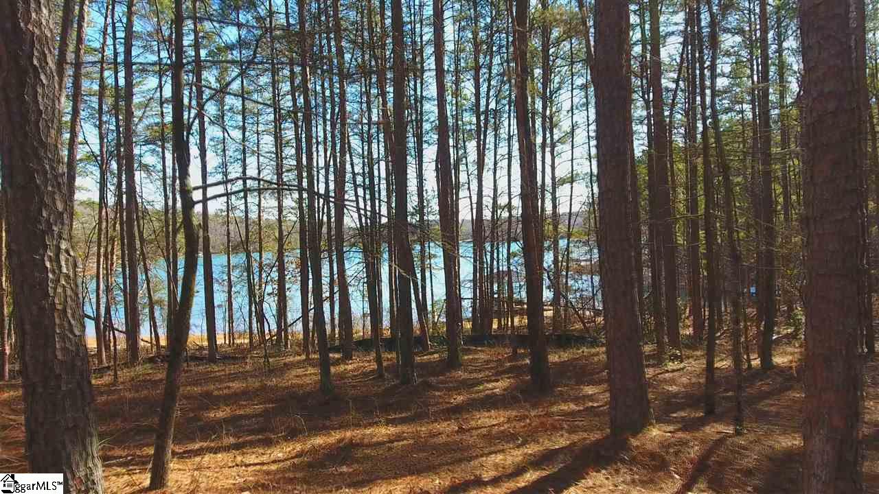 78 Peninsula Road Anderson, SC 29626 - Photo 9 of 36 Gallery Image 9