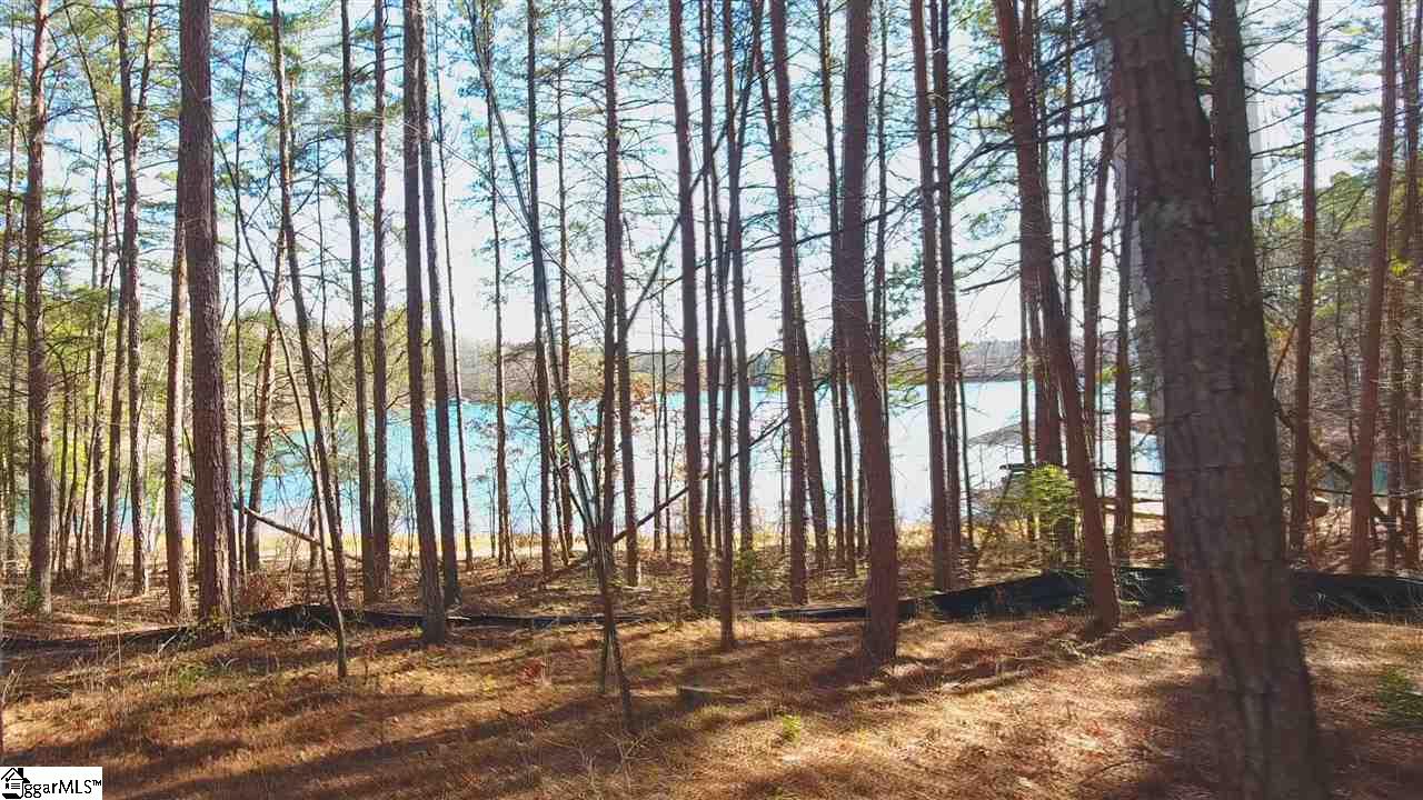 78 Peninsula Road Anderson, SC 29626 - Photo 10 of 36 Gallery Image 10