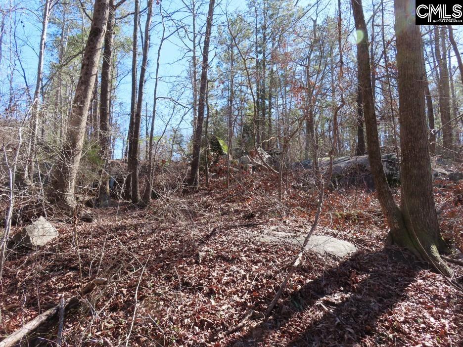 0 Rion Road Winnsboro, SC 29180 - Photo 22 of 42
