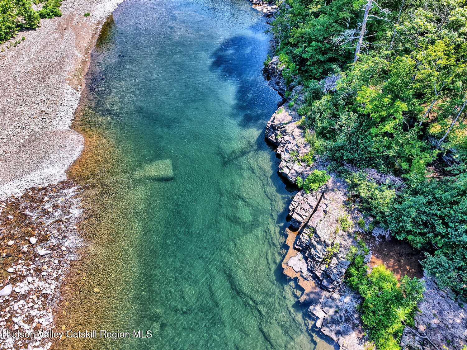 128 West Moorehouse Road Cairo, NY 12413 - Photo 102 of 132 a picture of flowers