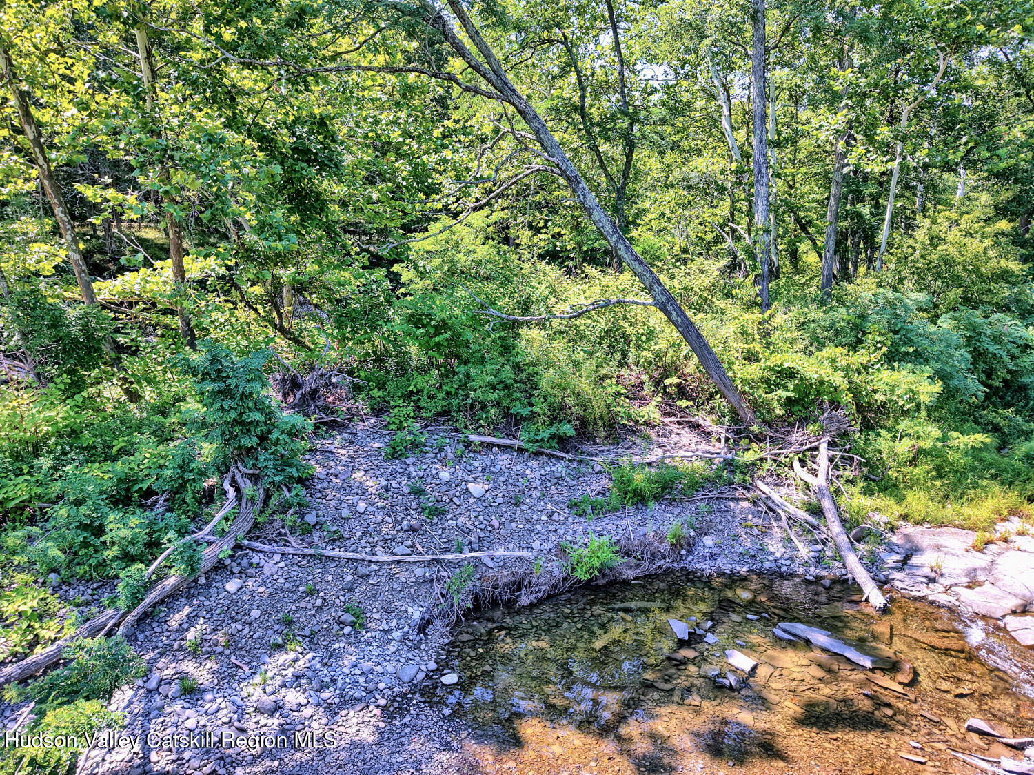 128 West Moorehouse Road Cairo, NY 12413 - Photo 103 of 132 a big yard with lots of green space