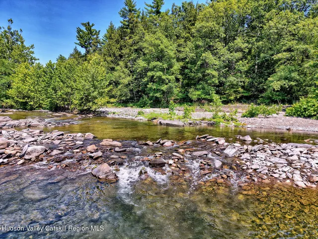 a view of backyard with a table and chairs and potted plants