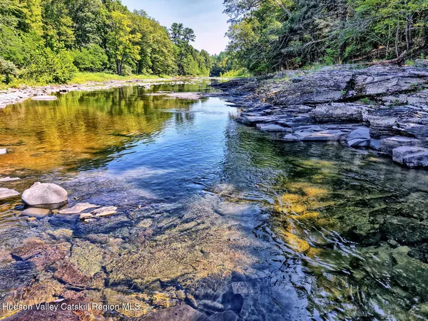 a view of a park that has large trees