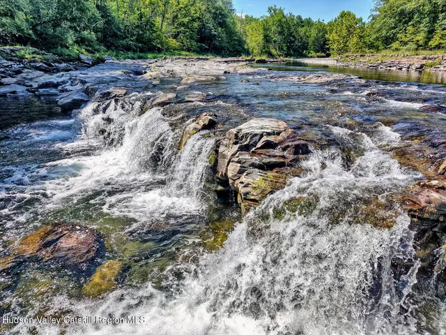 a view of a backyard with plants and a fire pit