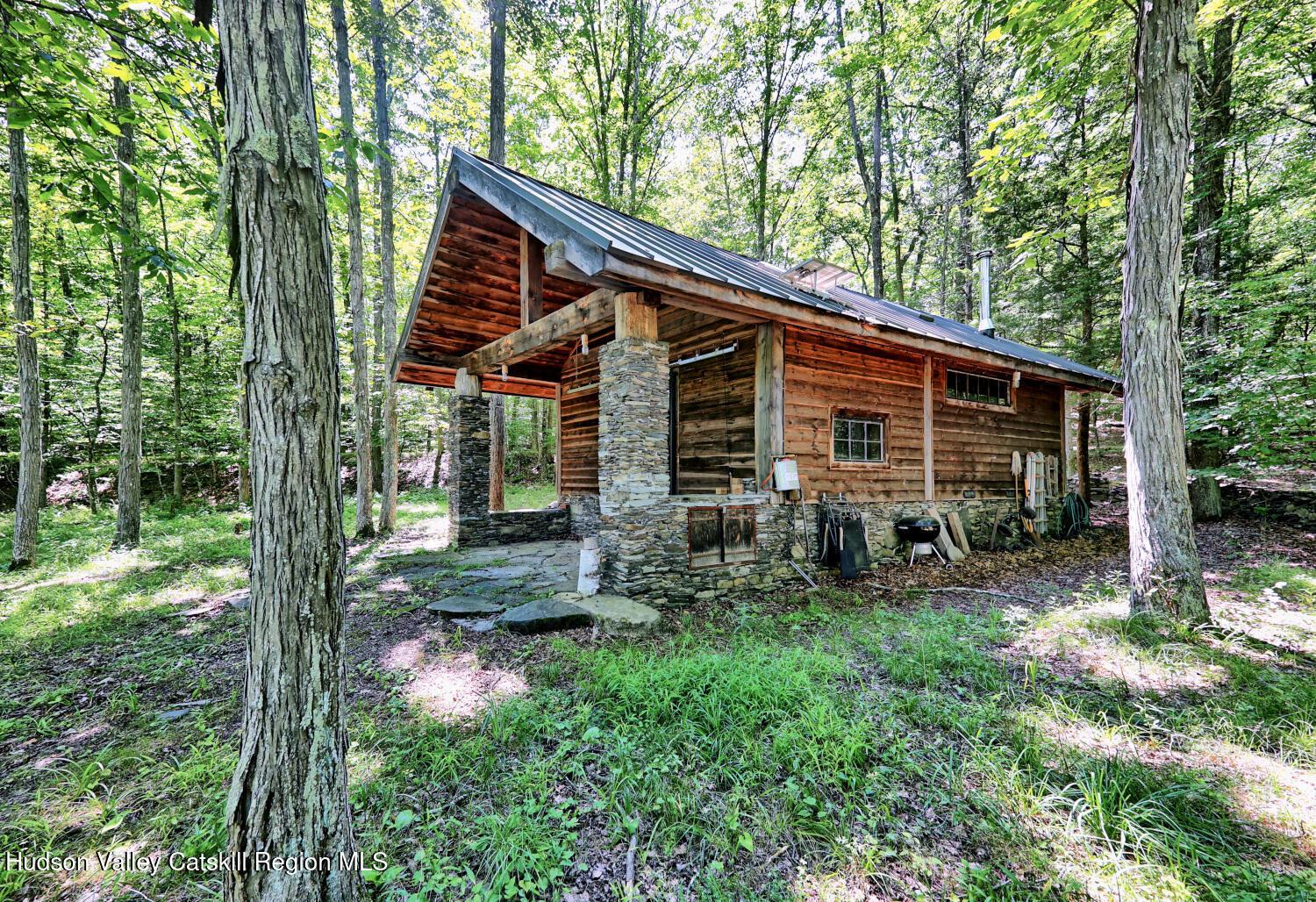 128 West Moorehouse Road Cairo, NY 12413 - Photo 27 of 132 a view of house with backyard