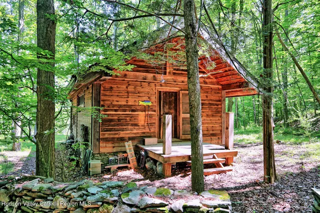 a view of a lush green field with mountains in the background