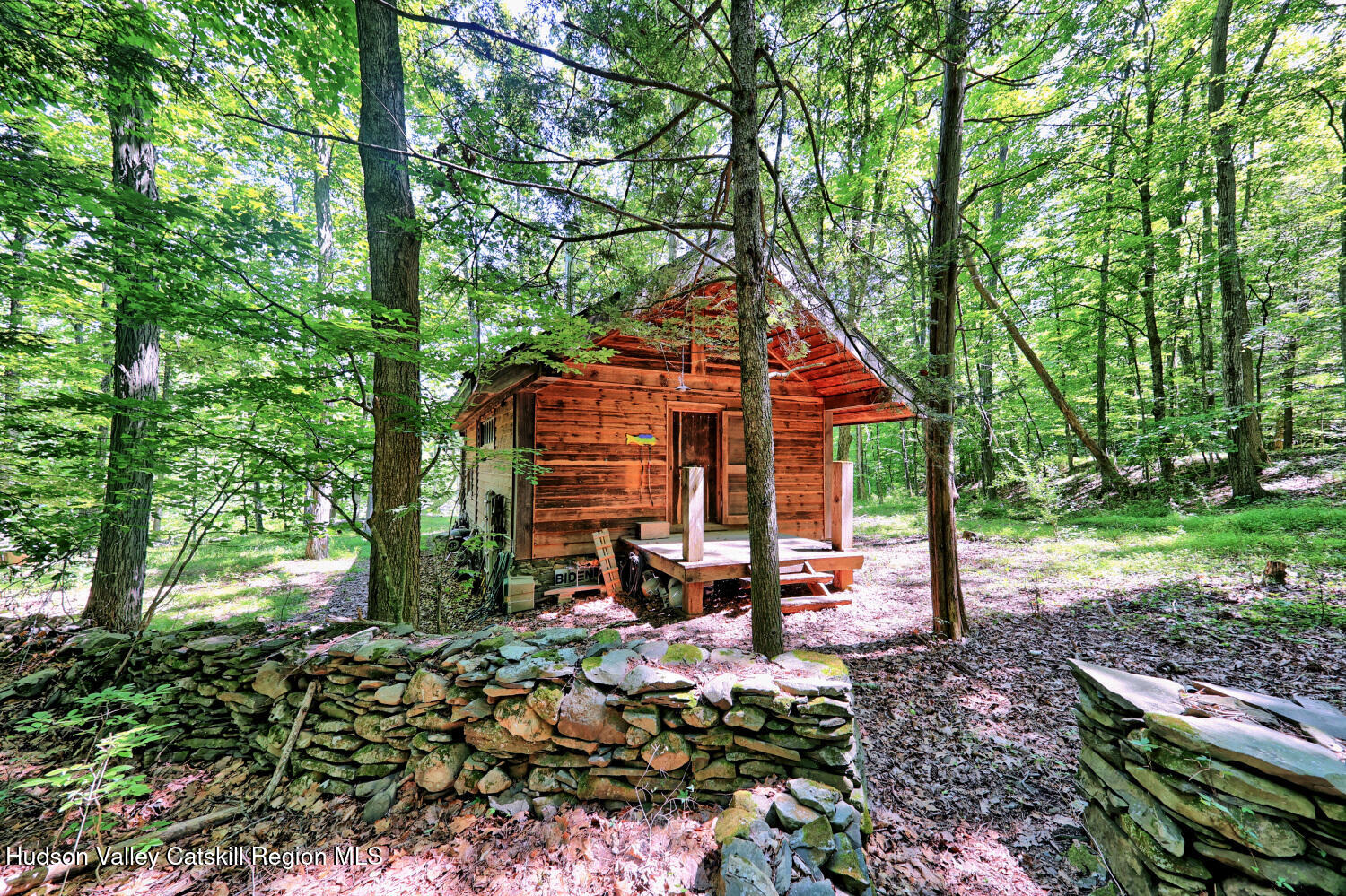 128 West Moorehouse Road Cairo, NY 12413 - Photo 34 of 132 a backyard of a house with barbeque oven