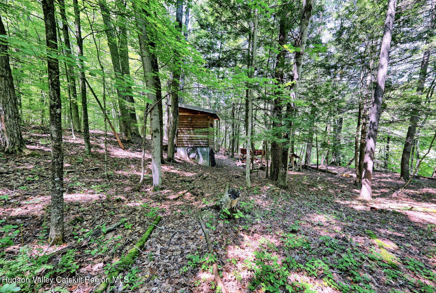 128 West Moorehouse Road Cairo, NY 12413 - Photo 46 of 132 a view of a park that has large trees