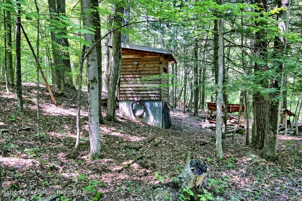 a view of a pathway both side of yard
