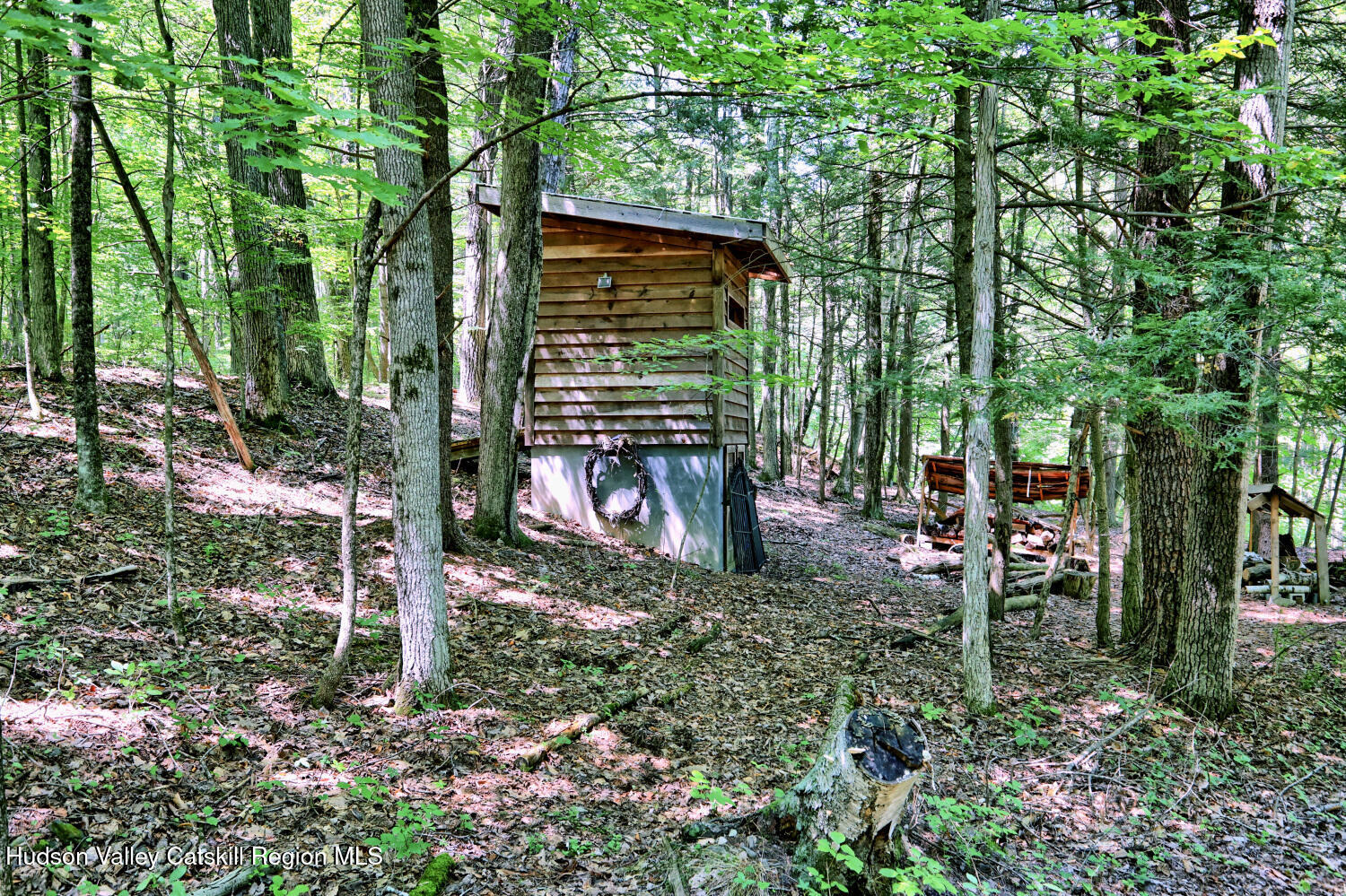 128 West Moorehouse Road Cairo, NY 12413 - Photo 47 of 132 a backyard of a house with lots of green space